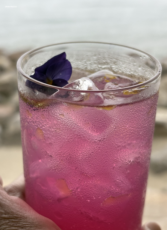 THE MAGIC OF GIN